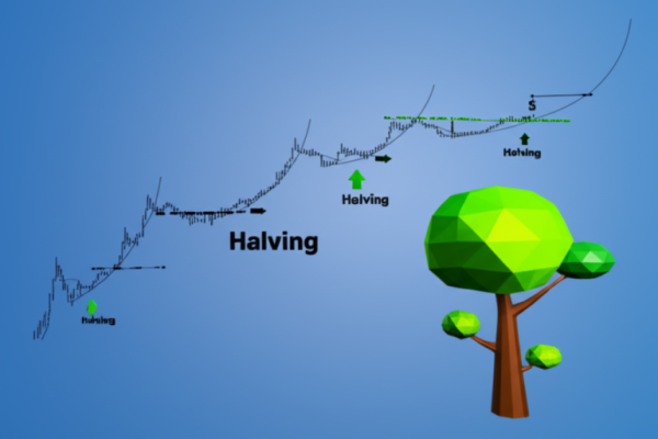 Live Bitcoin Price Tracker – Investing.com