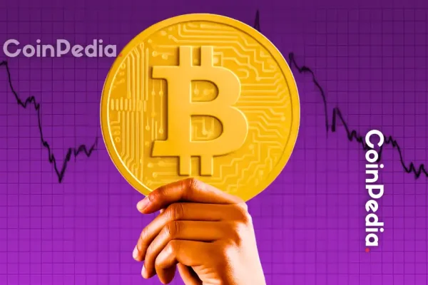Bitcoin’s Rally: Who’s Behind It?