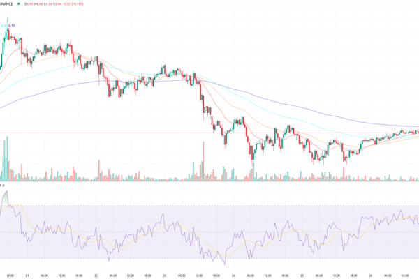 NEO/USDT: Recovery Amid Downtrend